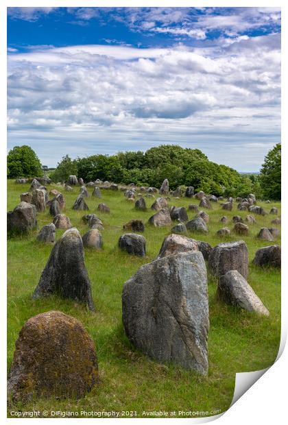 Lindholm Hills Viking Burial Grounds Print by DiFigiano Photography