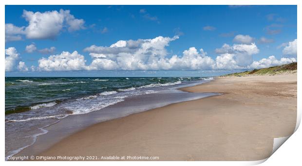 The Curonian Spit Print by DiFigiano Photography