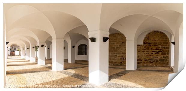 Olivenza Arches Print by DiFigiano Photography