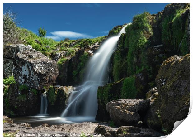 Loup of Fintry Upper Falls Print by DiFigiano Photography