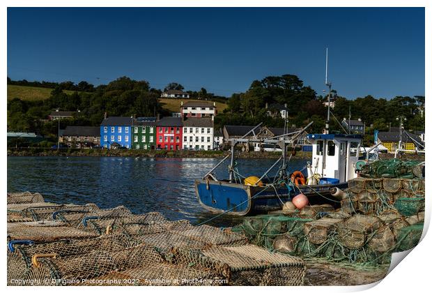 Bantry Harbour Print by DiFigiano Photography