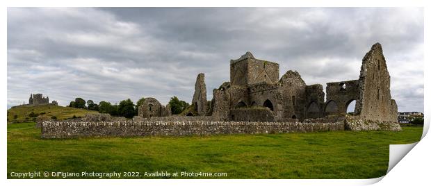 Hore Abbey Panorama Print by DiFigiano Photography