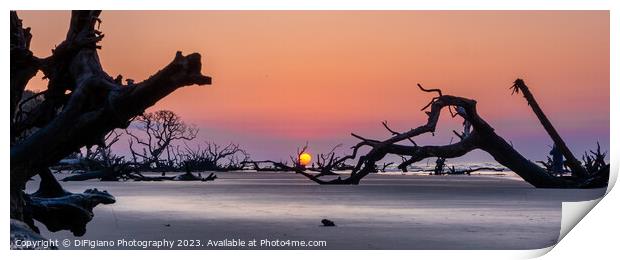 Boneyard Beach Sunrise Panorama Print by DiFigiano Photography