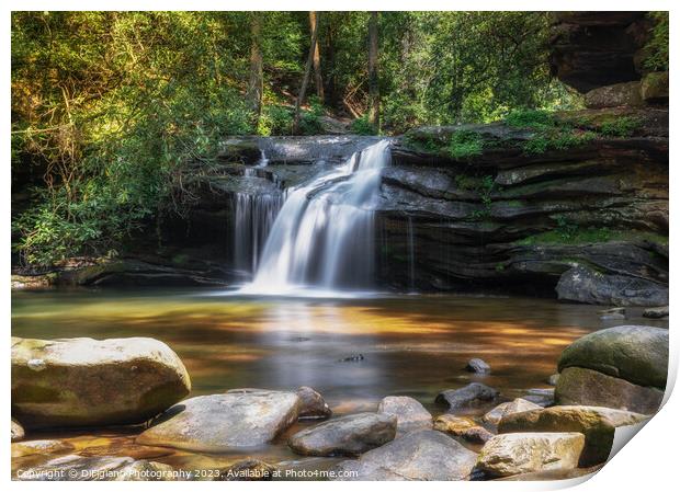 Carrick Creek Falls Print by DiFigiano Photography