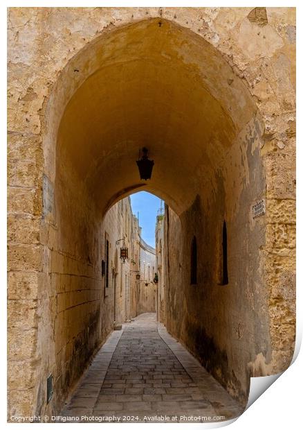 Alley Arch Print by DiFigiano Photography