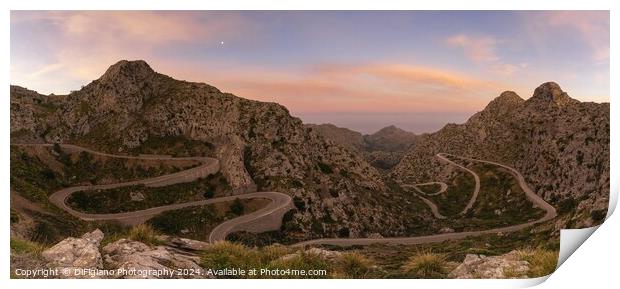 The Snake Road Print by DiFigiano Photography