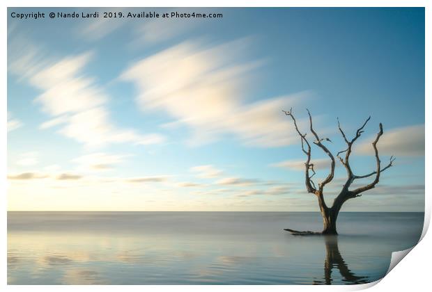 A New Day Print by DiFigiano Photography