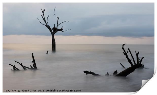 Wizard's Cauldron Print by DiFigiano Photography