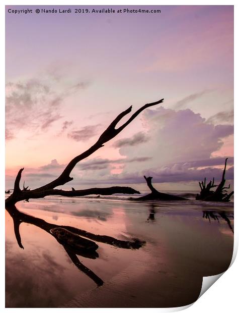 Cemetery Beach Print by DiFigiano Photography