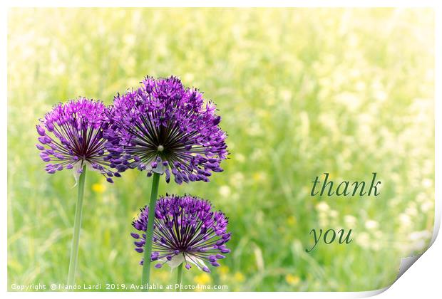 Thank You Print by DiFigiano Photography