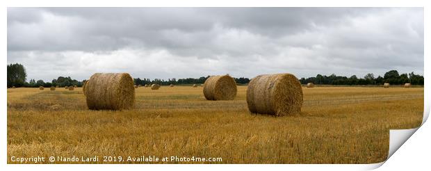 Farming France Print by DiFigiano Photography
