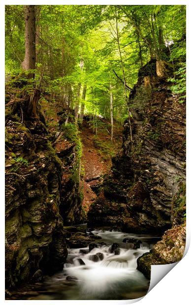 Thur Creek in Toggenburg Valley in the Swiss Alps Print by DiFigiano Photography