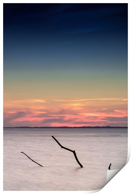 Lohme Driftwood Print by DiFigiano Photography