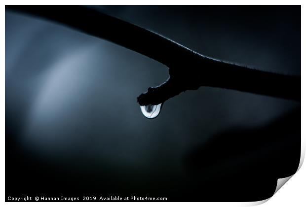 Rain Drop in the darkness Print by Hannan Images