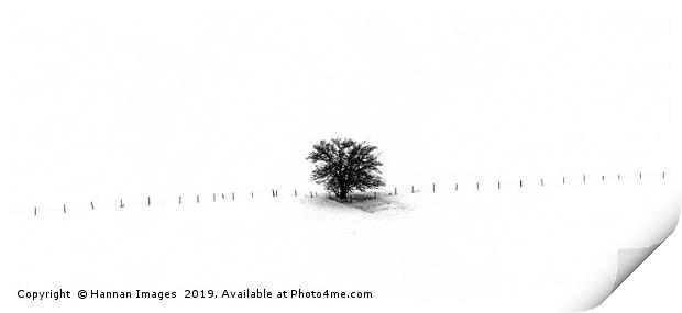 Scene from a train II Print by Hannan Images