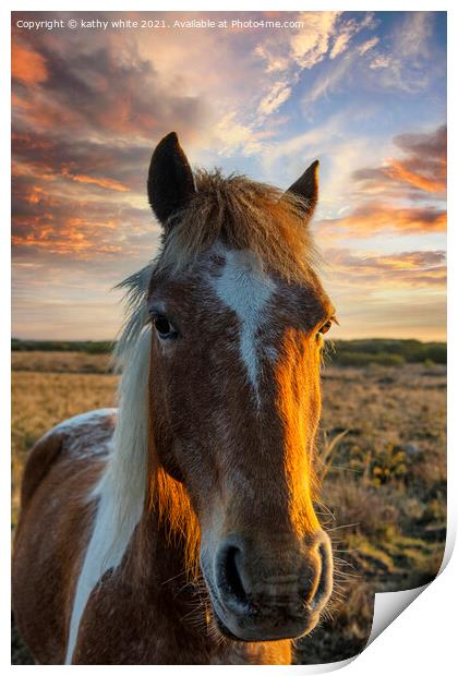 horse at sunset,portrait of a horse Print by kathy white