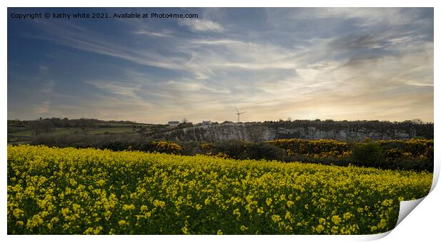 Cornish Rapeseed field, in full bloom Sunset Print by kathy white