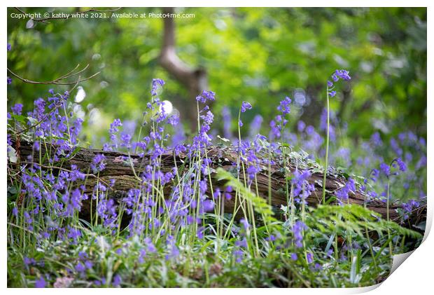 English Bluebell Wood, Cornwall,wild flowers Print by kathy white