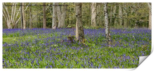 English Bluebell Wood, bluebell, Print by kathy white