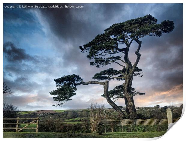 Helston Cornwall tree on the road to the lizard Print by kathy white