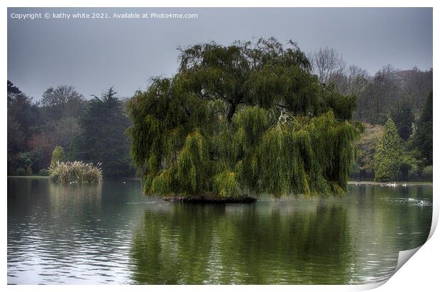 Weeping willow on a lake Print by kathy white