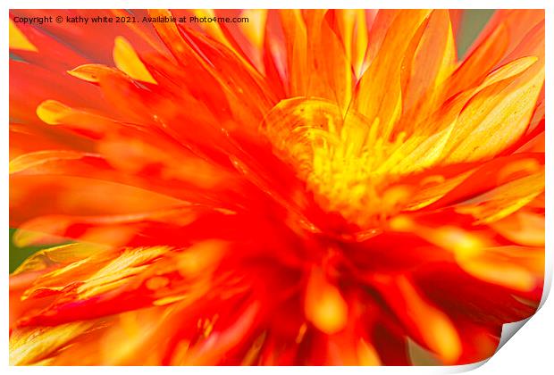 Dahlia flower fire with in Print by kathy white