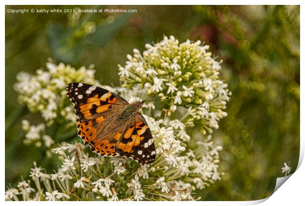 painted lady butterfly Print by kathy white