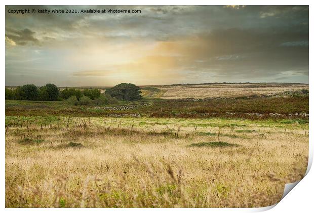 Cornwall  English countryside Print by kathy white