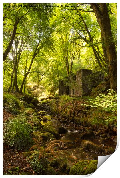 kennall vale woods Print by kathy white