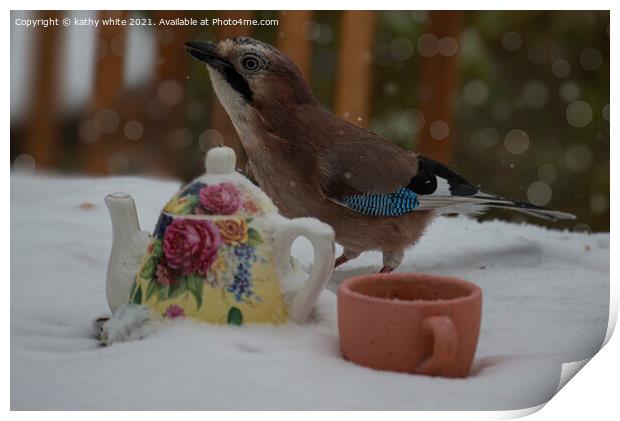 Jay bird in the snow Print by kathy white
