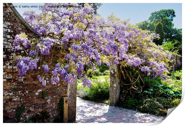 wisteria of Heligan Print by kathy white