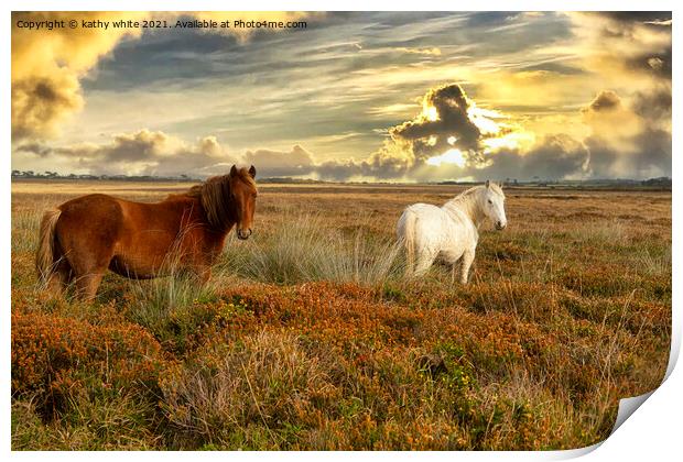 sunset,grazing ponies Print by kathy white