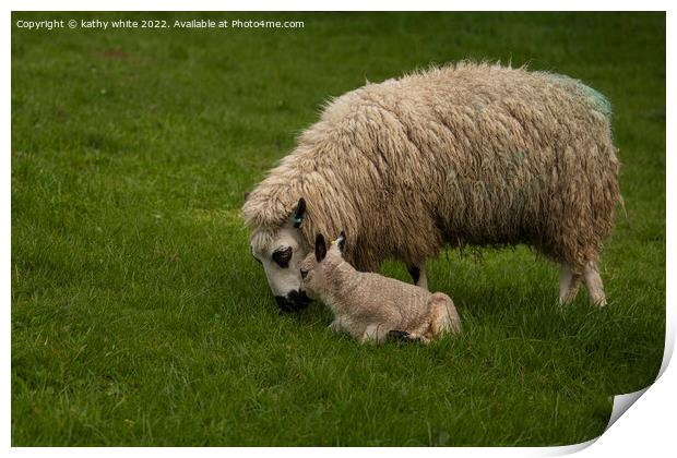 Kerry Hill sheep with her baby lamb Print by kathy white