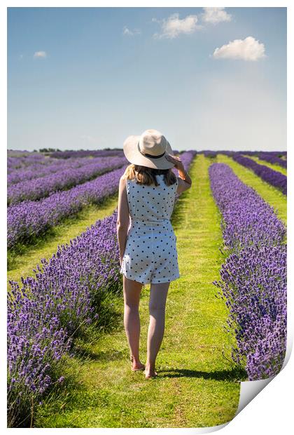 walking in  lavender  Print by kathy white