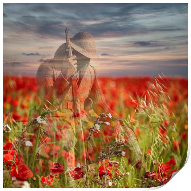 Poppy Day Lest We Forget Remembrance Print by kathy white