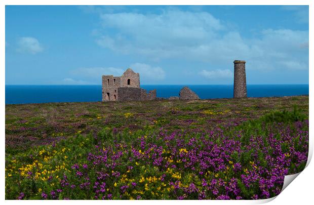St Agnes with wildflowers Print by kathy white