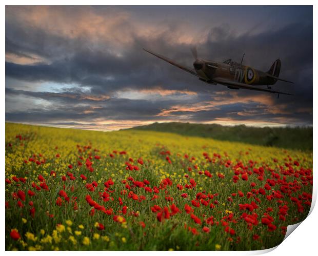 Spitfire Soaring Over a Field of Red Print by kathy white