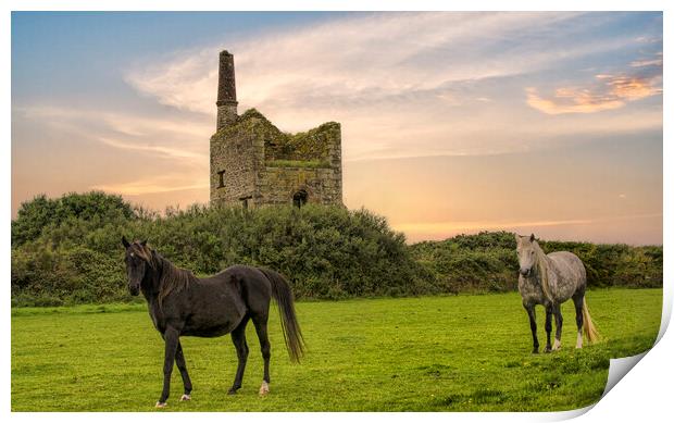Old tin mine and horses Print by kathy white