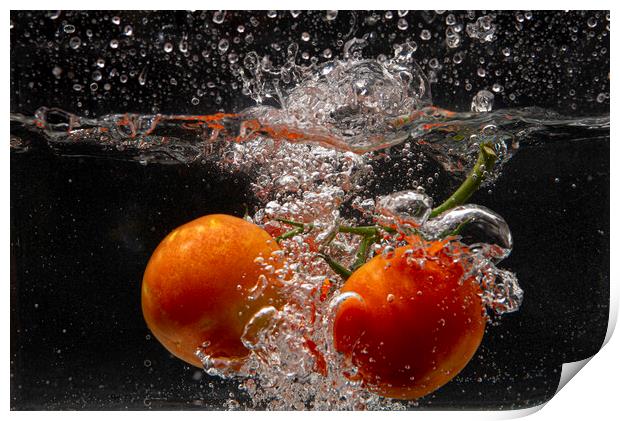 Red tomatoes kitchen art Print by kathy white