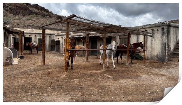 Ok corral,old west Print by kathy white