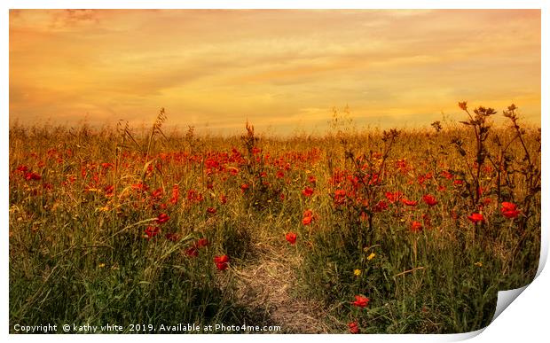 red poppies,Sunset on a field of poppies in cornwa Print by kathy white