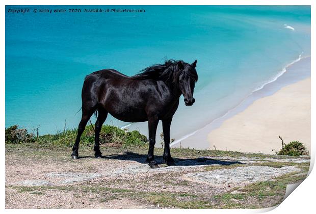 Majestic Black Horse Galloping on Cornwalls Wild P Print by kathy white