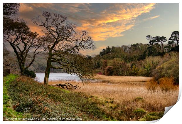 Cornwall Penrose Helston,sunset Print by kathy white