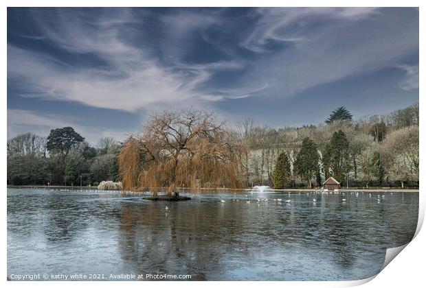 weeping willow  cornwall boating lake,Early mornin Print by kathy white