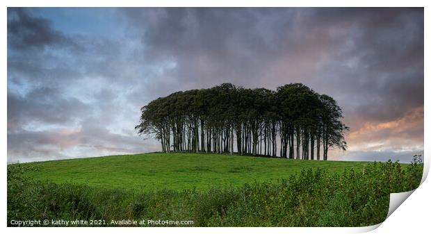 Nearly Home Trees, Coming home trees, Cornwall trees Cookworthy  Print by kathy white