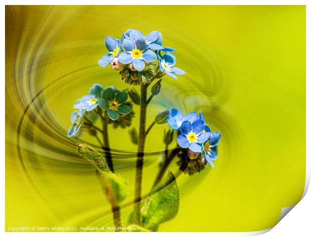  forgetmenot,blue flower,Forget Me Nots, windswept Print by kathy white