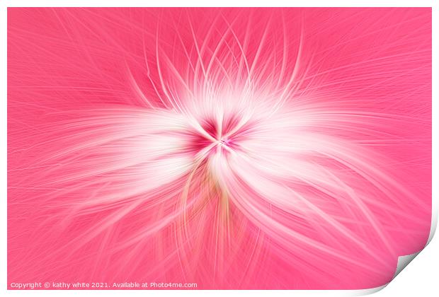 Dandelion  seed head on a pink background  Print by kathy white