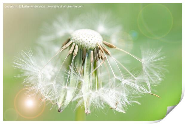 dandelion seed,Flower Photography,floral art Print by kathy white