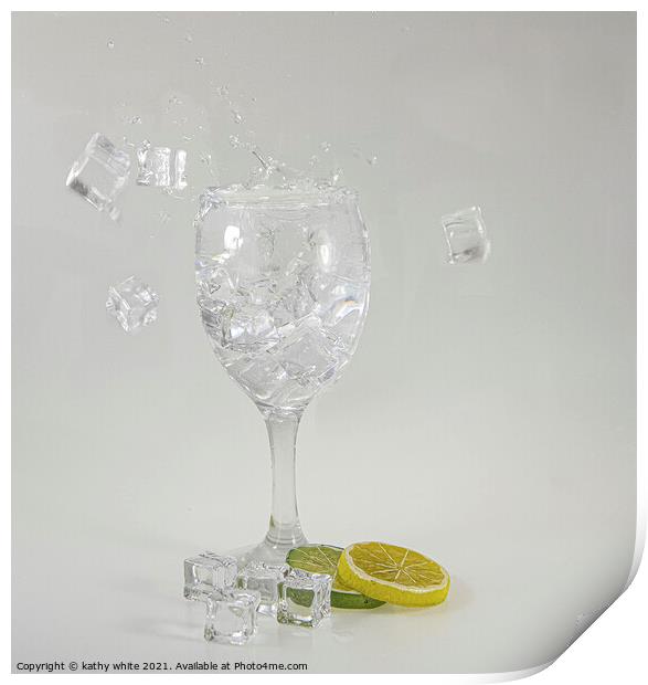 ice with your gin,  gin and tonic, with a slice  Print by kathy white