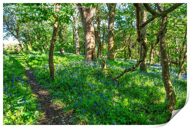English Bluebell Wood, Cornwall,Bluebell Wood Print by kathy white